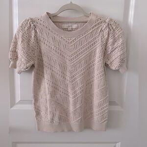 LOFT Petite Pointelle Sweater Tee